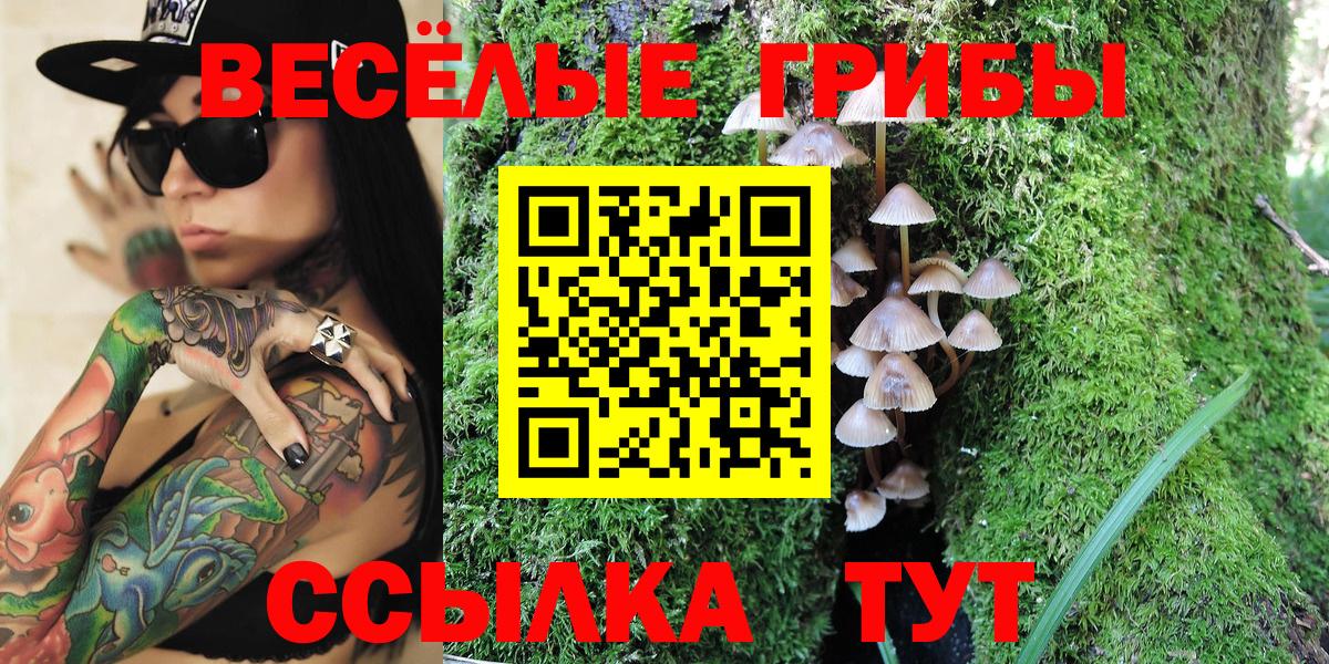 Псилоцибиновые грибы мицелий  Вход с VPN  Псилоцибиновые грибы Magic Shrooms  Кубинка 